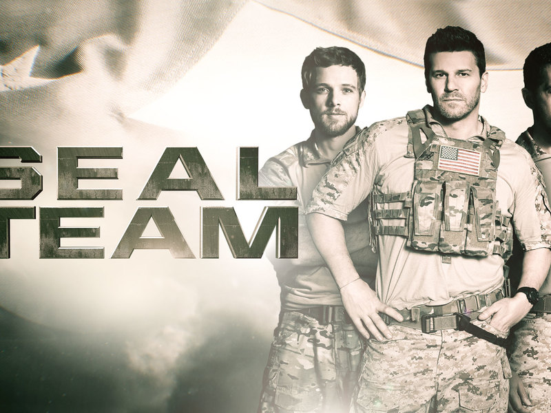 SEAL Team